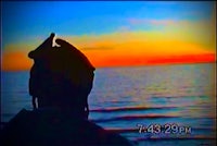 a silhouette of a person looking at the ocean at sunset